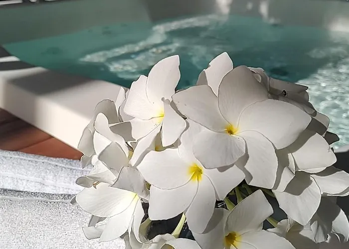 4 Elementos Guest House Porto Seguro